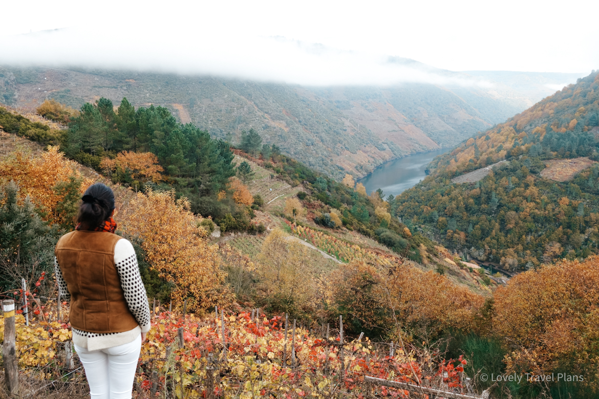 Qué ver en la Ribeira Sacra: vendimia heroica
