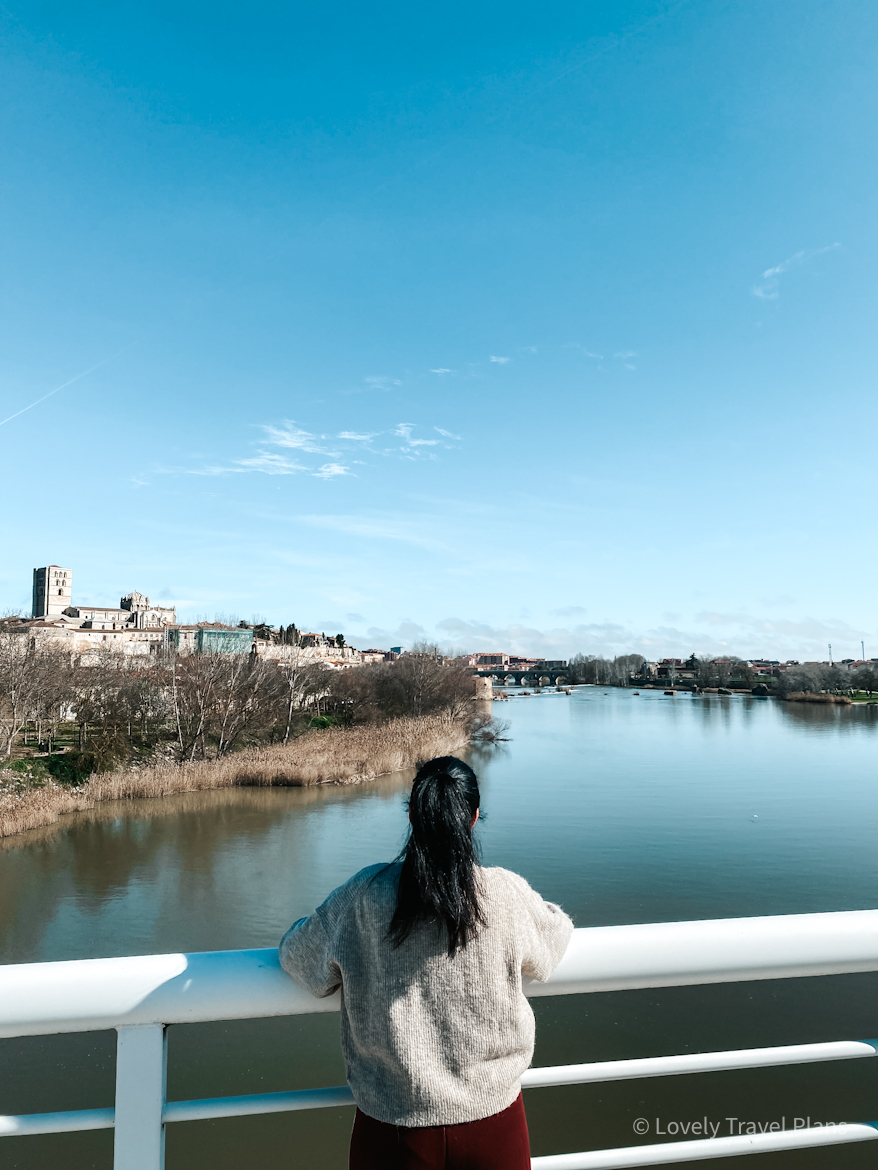 Qué ver en Zamora en un día: Puente de los Poetas