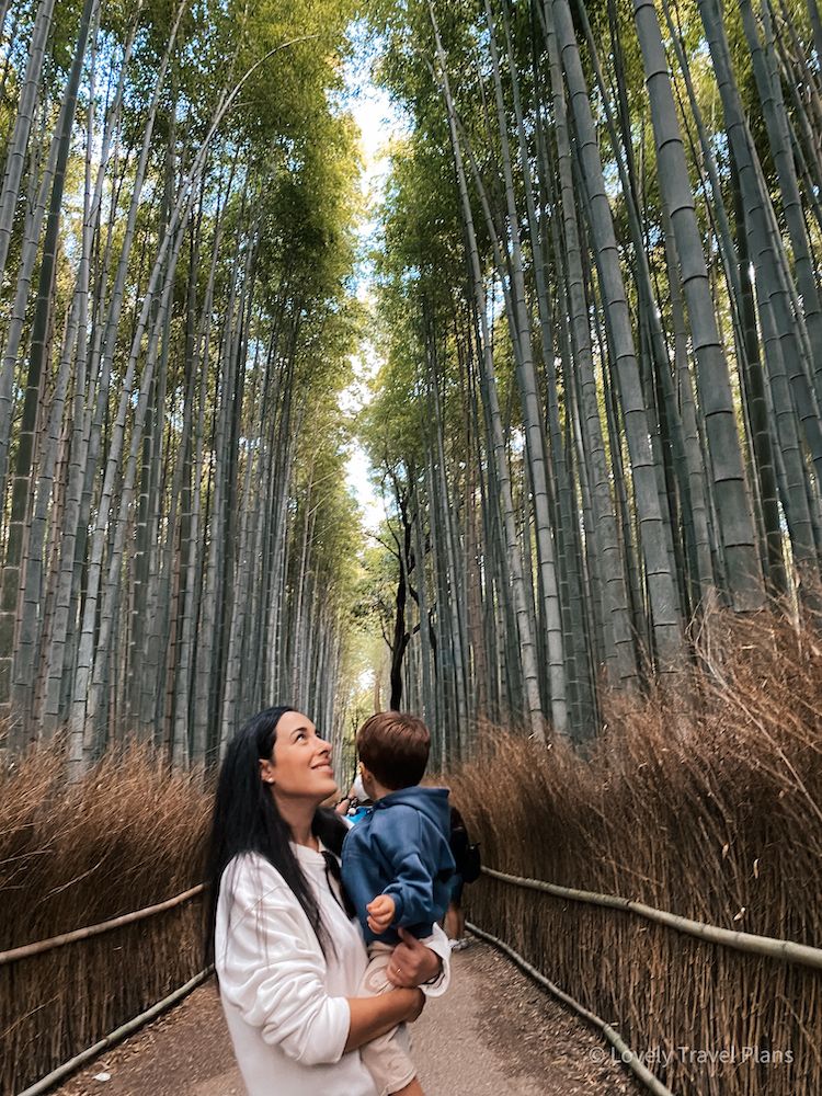 Qué ver en Kioto en 4 días: Guía + Itinerarios 20 Qué ver en Kioto: Bosque de Bambú