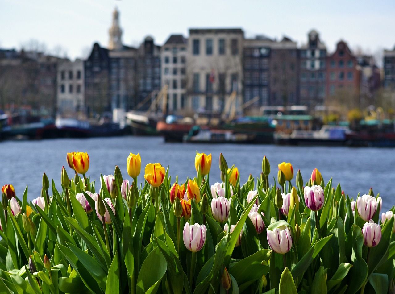 Dónde viajar en abril 2024: 10 destinos únicos 4 dónde viajar en abril: amsterdam